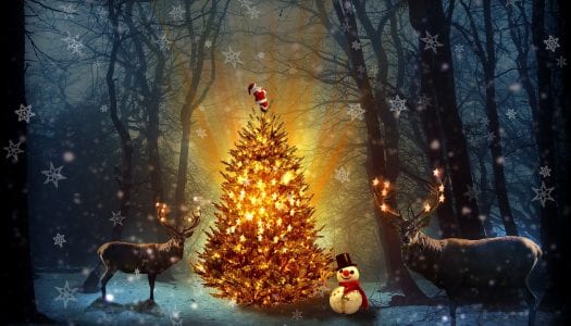 Free Dulcimer Christmas Music by Sheet Music/Tabs/Songs