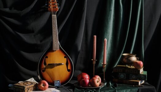 Dulcimer vs Mandolin – What’s the Difference?